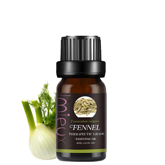 Fenouil : Confort Digestif & Anti-Ballonnements